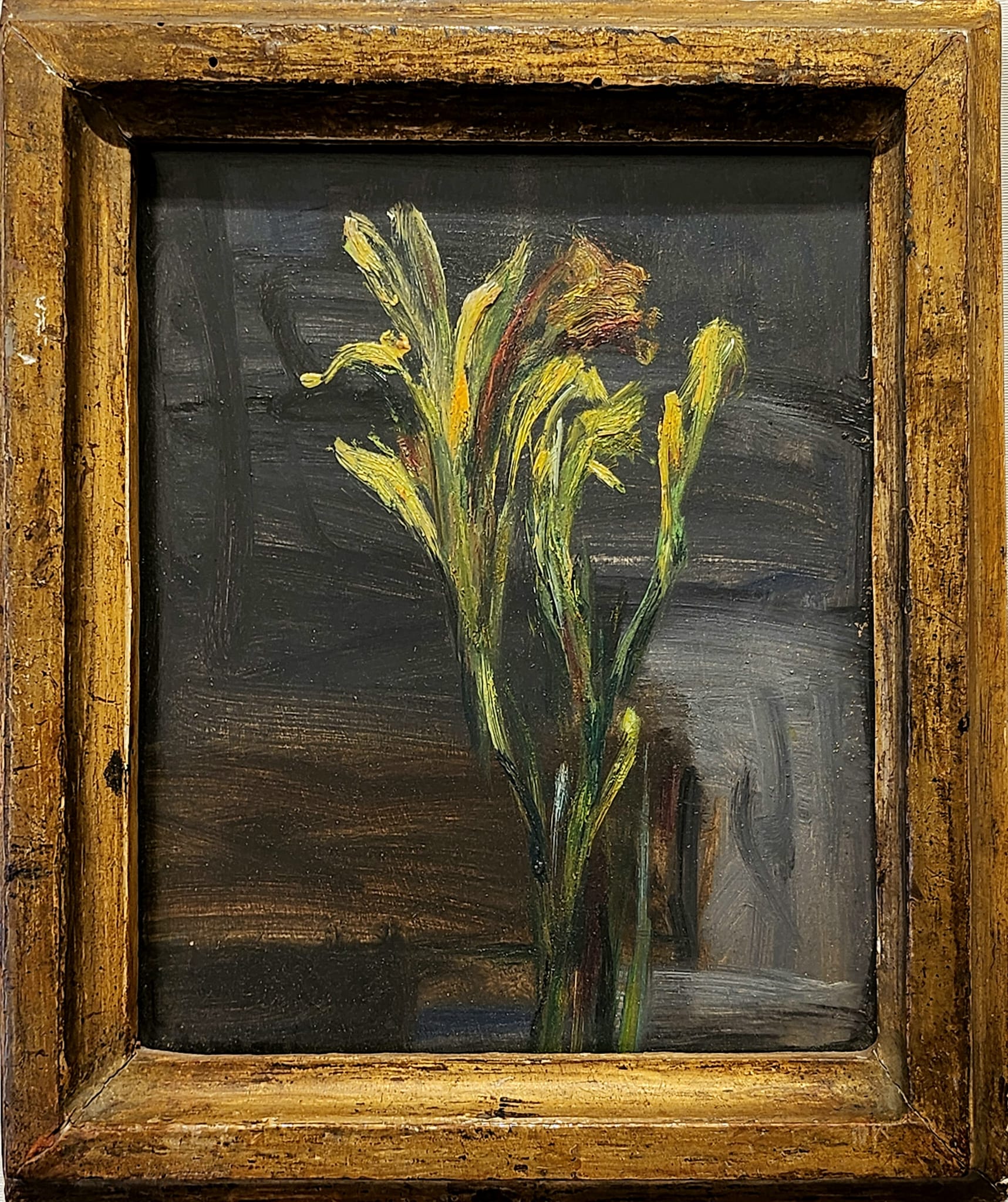 Enzo Faraoni, Iris giallo, Olio su tavola, cm 22,7x20,5, 1988